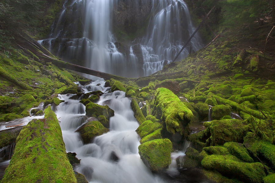 Proxy Falls Photograph by David  Forster