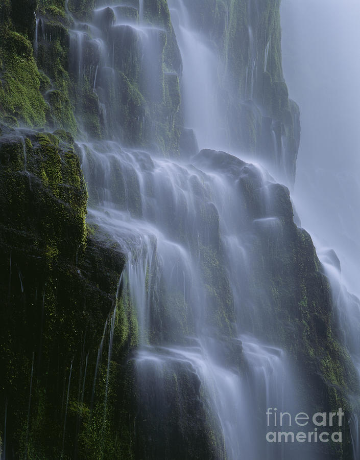 Proxy Falls Photograph by Jim Corwin