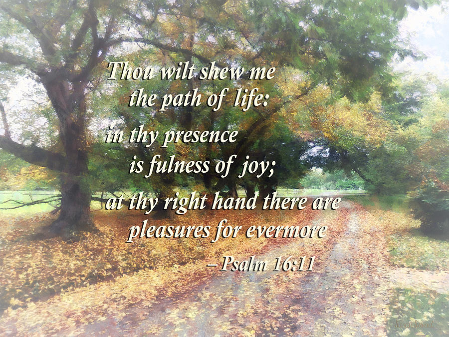 Psalm 16 11 Thou wilt shew me the path of life Photograph by Susan Savad