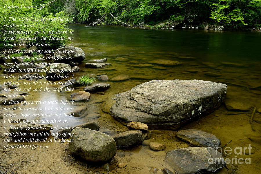Psalm 23 Cranberry River Photograph by Thomas R Fletcher