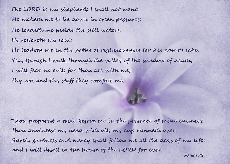 Nature Photograph - Psalm 23 by David and Carol Kelly