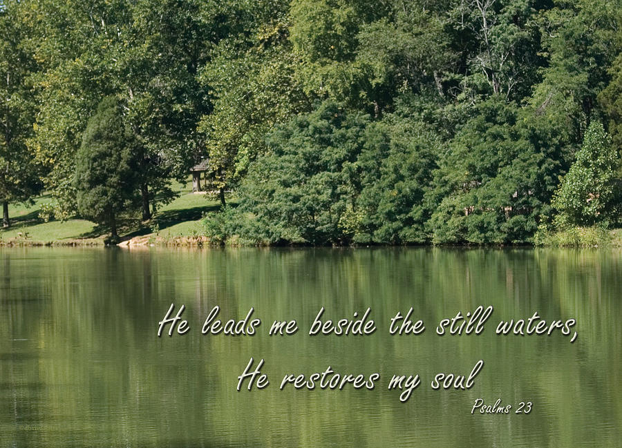 Tree Photograph - Psalm 23 He leads me by still water by Denise Beverly