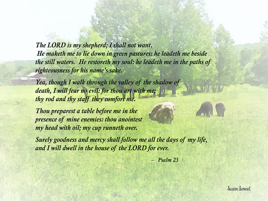 Psalm 23 The Lord Is My Shepherd Photograph by Susan Savad