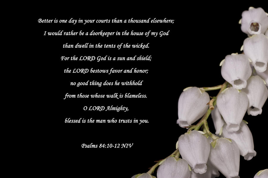 Psalm 84 10 12 Photograph By Inspirational Designs