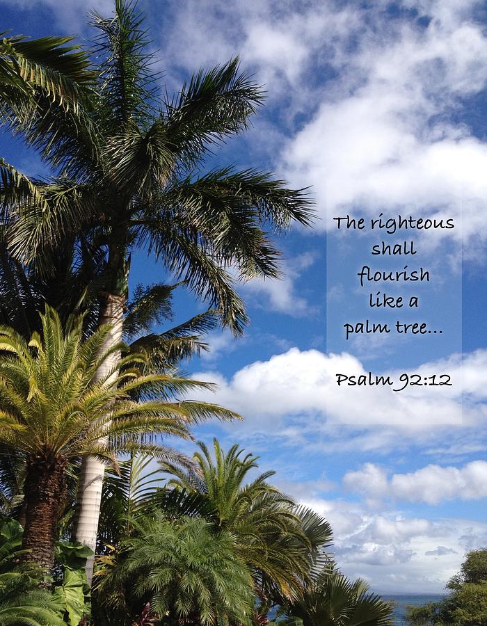 Psalm 92 12 Photograph by Julianne Baltrus