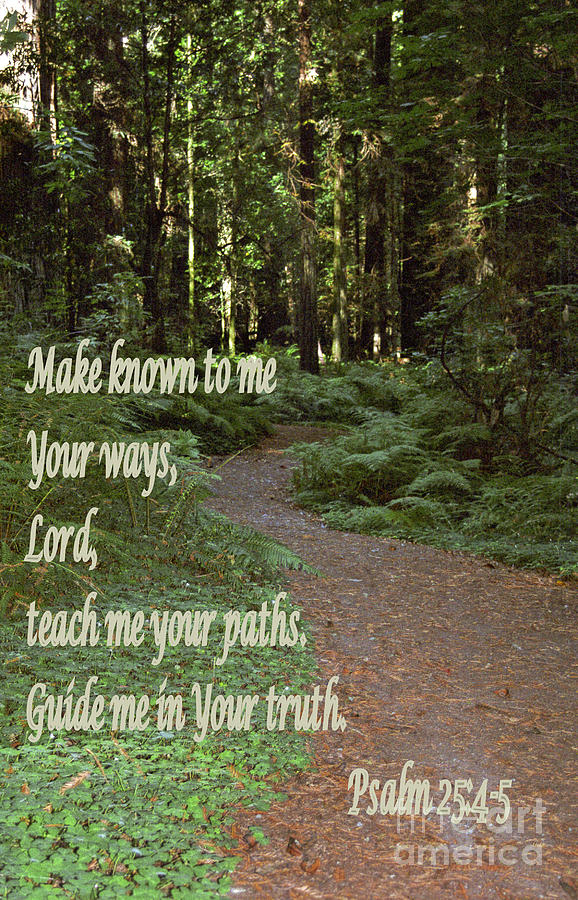 Psalm  - Paths Photograph by Sharon Elliott