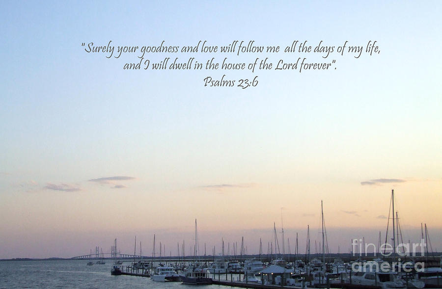 Psalms 23 Photograph by Andrea Anderegg