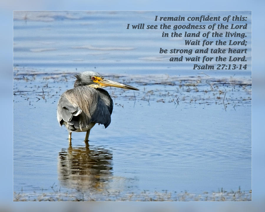 psalm-27-13-14-photograph-by-dawn-currie