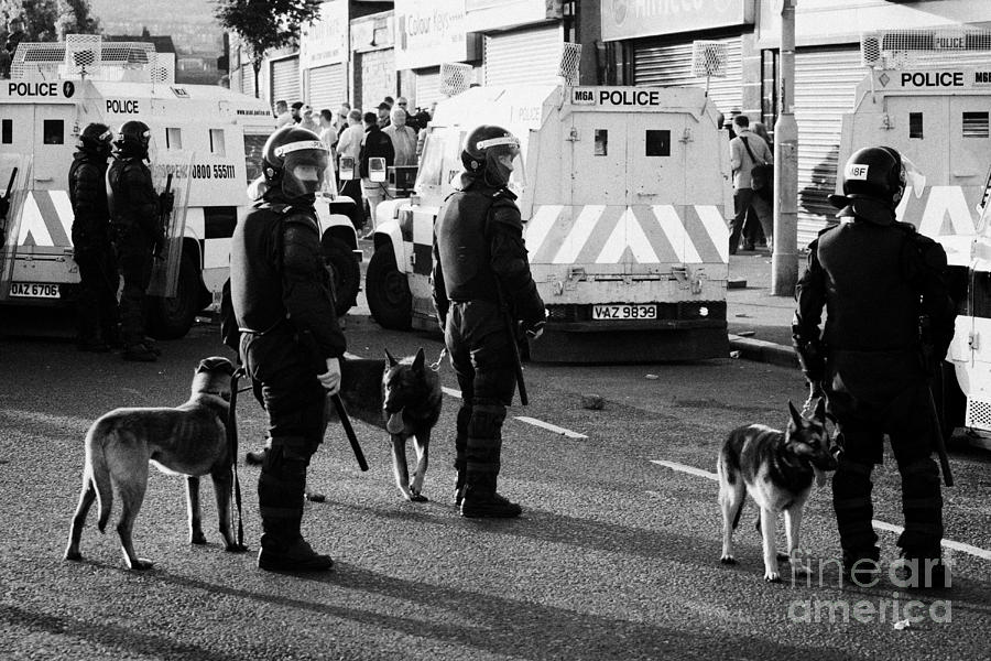 Northern Photograph - PSNI dog handlers in riot gear and dogs on crumlin road at ardoyne shops belfast 12th July by Joe Fox