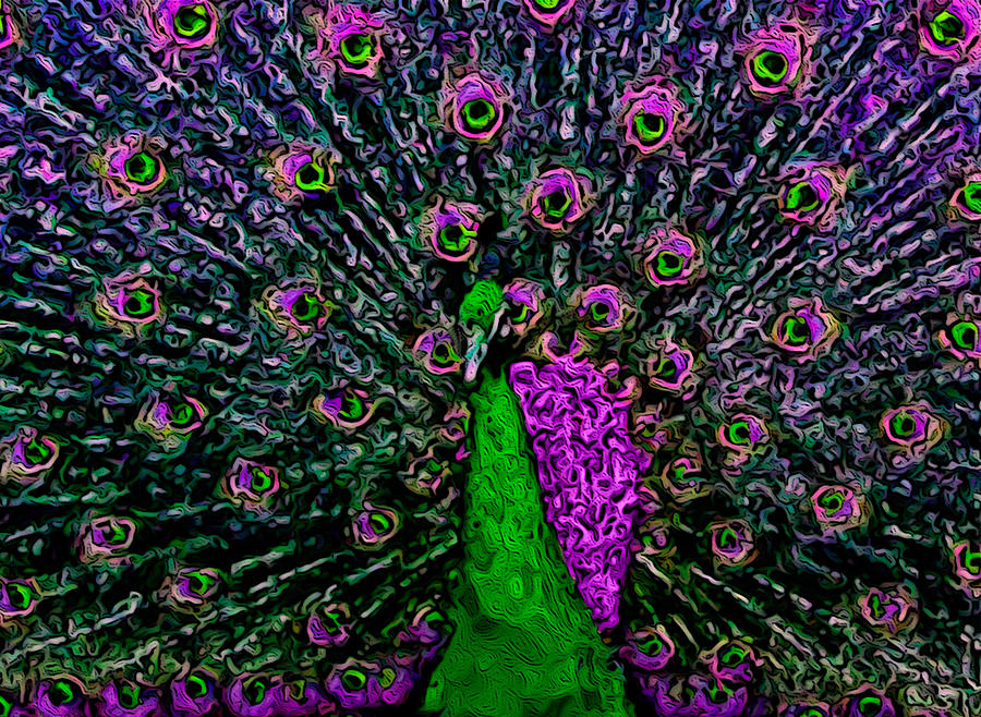 Psycadelic Peacock Photograph by Carl Cox