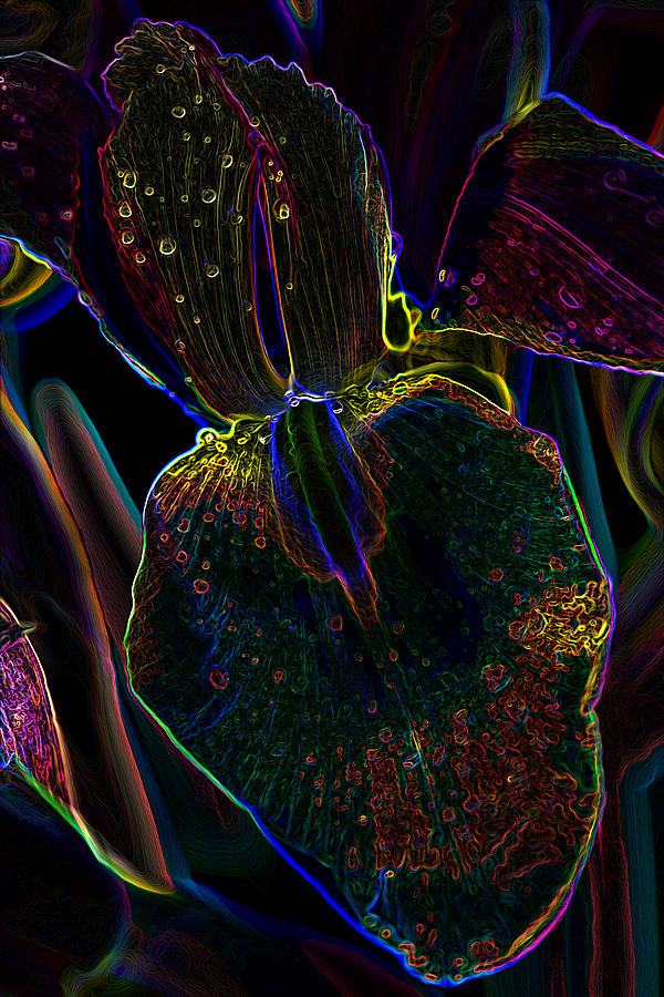 Psychedelic Abstract Iris Photograph