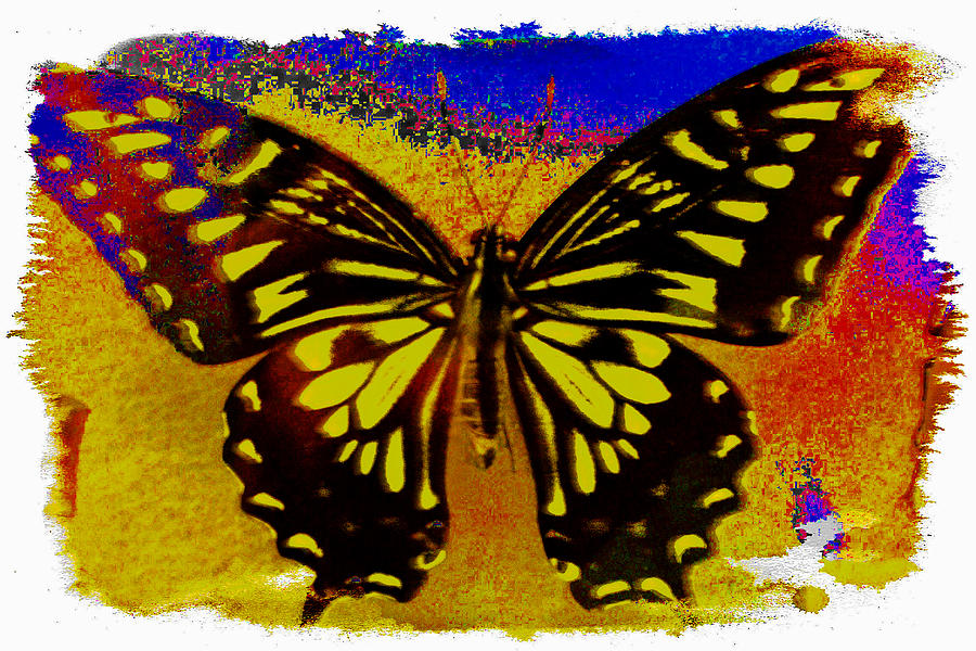 Butterfly Photograph - Psychedelic Butterfly by Bill Owen