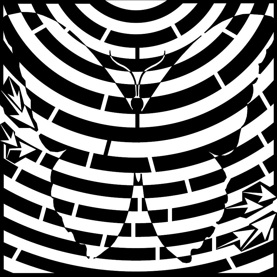 Butterfly Drawing - Psychedelic Butterfly Maze  by Yonatan Frimer Maze Artist