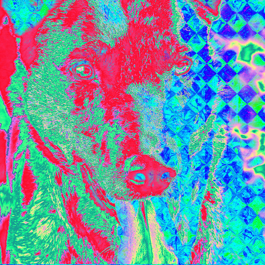 Psychedelic Dog Digital Art