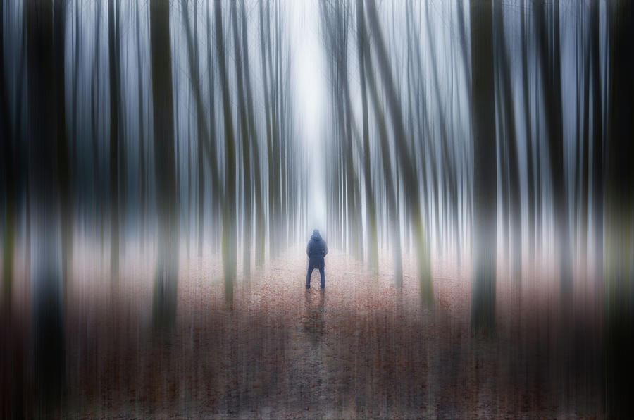 Psychedelic Forest Photograph by Daniel Viñé Garcia