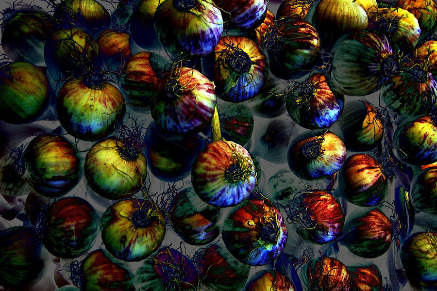 Abstract Photograph - Psychedelic  Garlic by Ness Welham