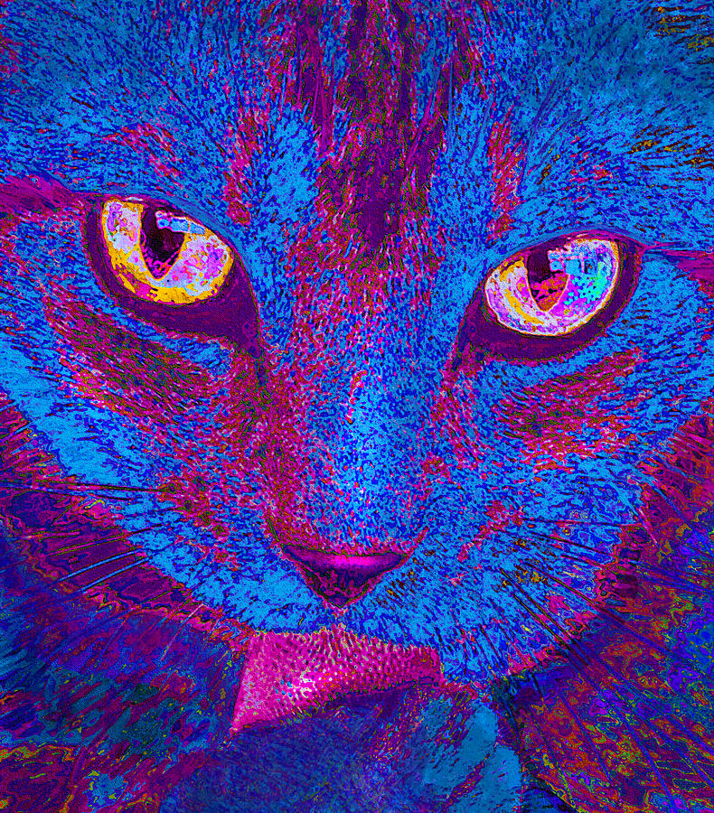Psychedelic Kitty Photograph by Jane Schnetlage