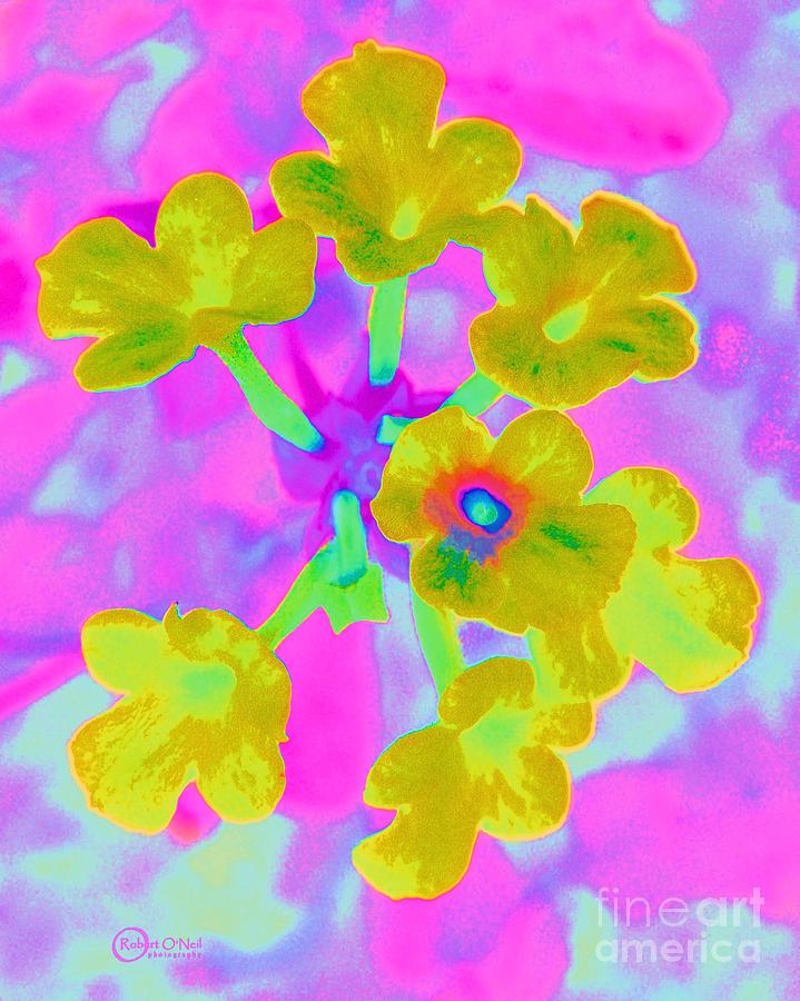 Psychedelic Lantana Photograph by Robert ONeil
