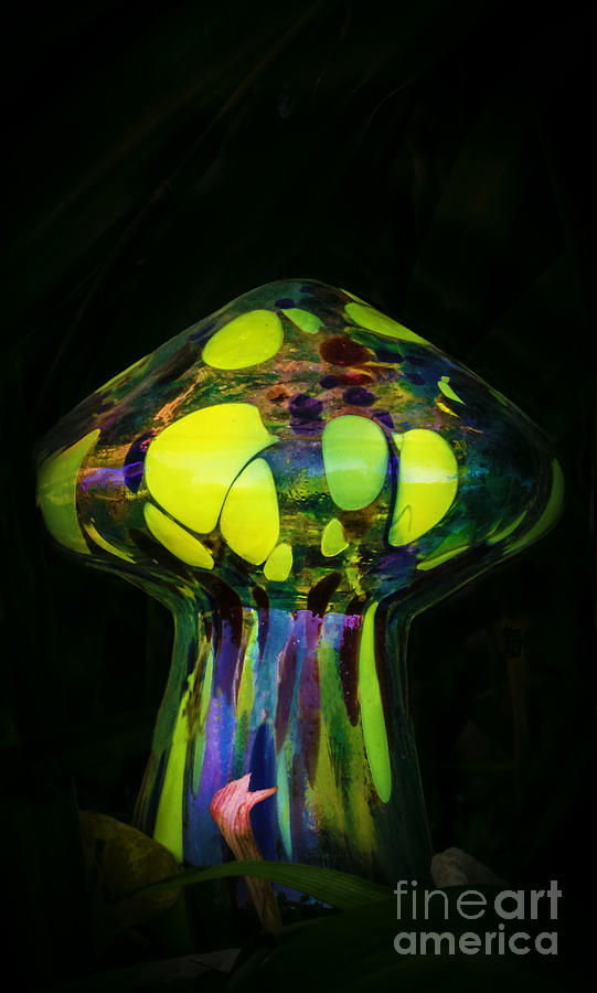 Psychedelic Mushroom Photograph by Mitch Shindelbower