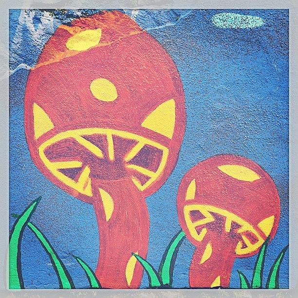 Mushroom Photograph - #psychedelic #mushroom #mural #nolibs by John Baccile