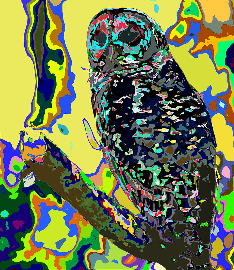 Owl Digital Art - Psychedelic Owl by Norman Johnson