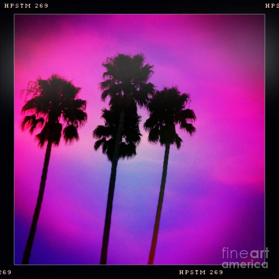 Psychedelic Palms Photograph by Denise Railey