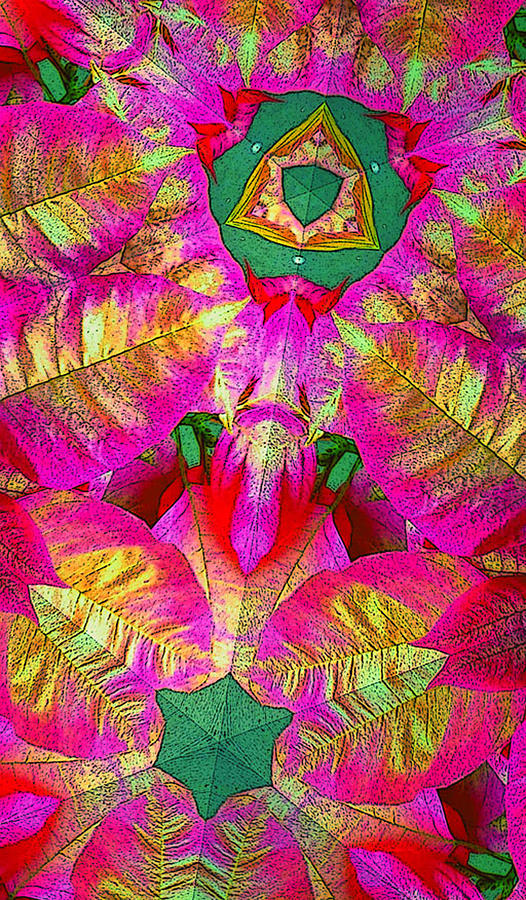 Psychedelic Poinsettia Photograph by Floyd Hopper