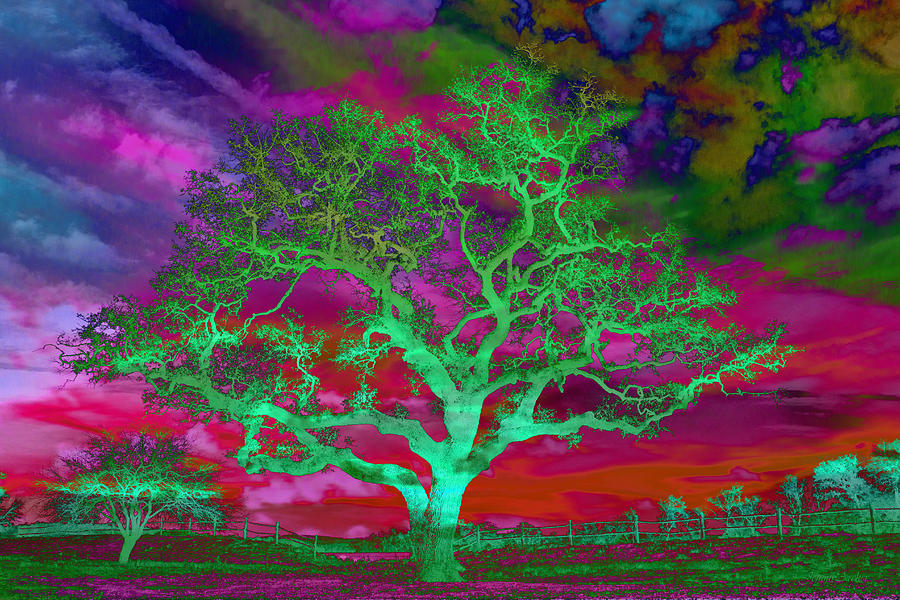 Psychedelic Sentinel Green Photograph by Jemmy Archer