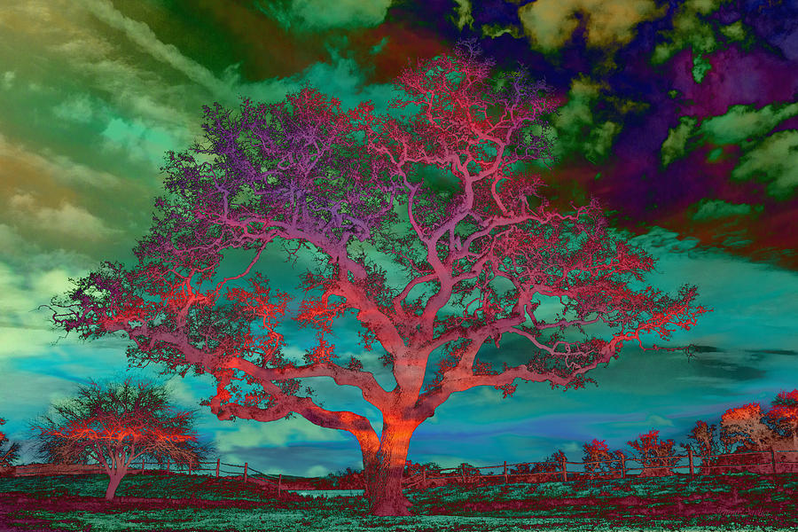 Psychedelic Sentinel Red Photograph by Jemmy Archer