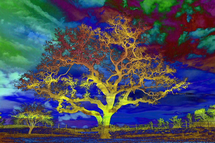 Psychedelic Sentinel Yellow Photograph by Jemmy Archer