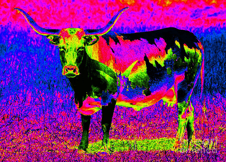 Psychedelic Texas Longhorn Photograph by Catherine Sherman