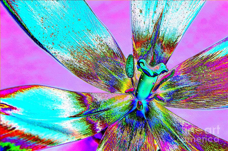 Psychedelic Tulip Photograph by Pattie Calfy