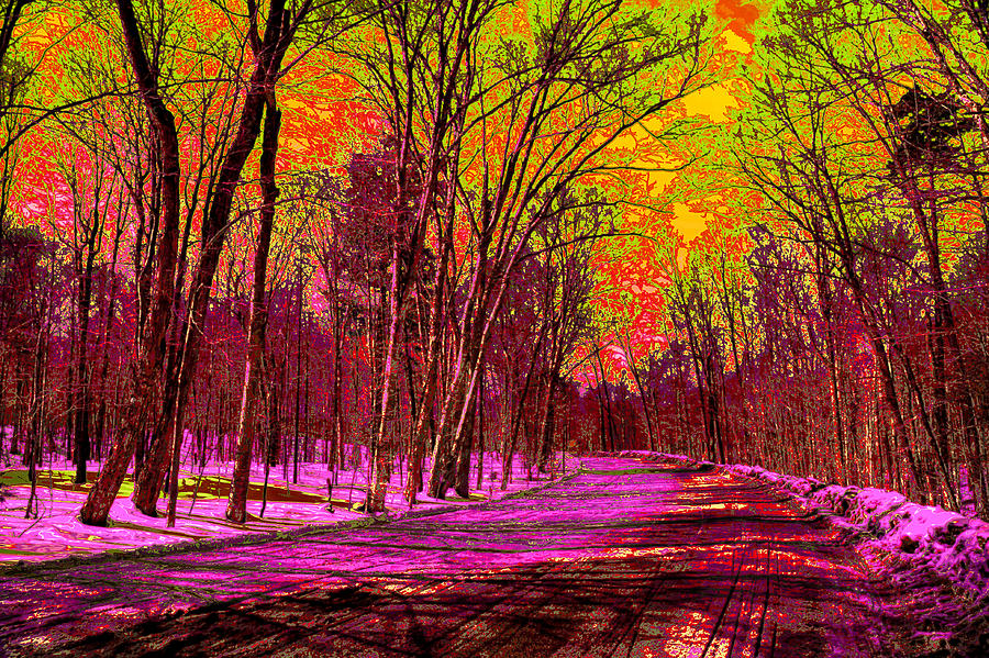 Psychedelic Winter Photograph by David Patterson