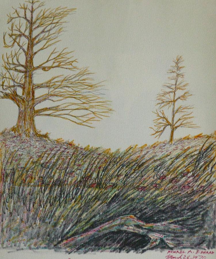 Nature Drawing - Psychic Landscape by Michael Anthony Edwards