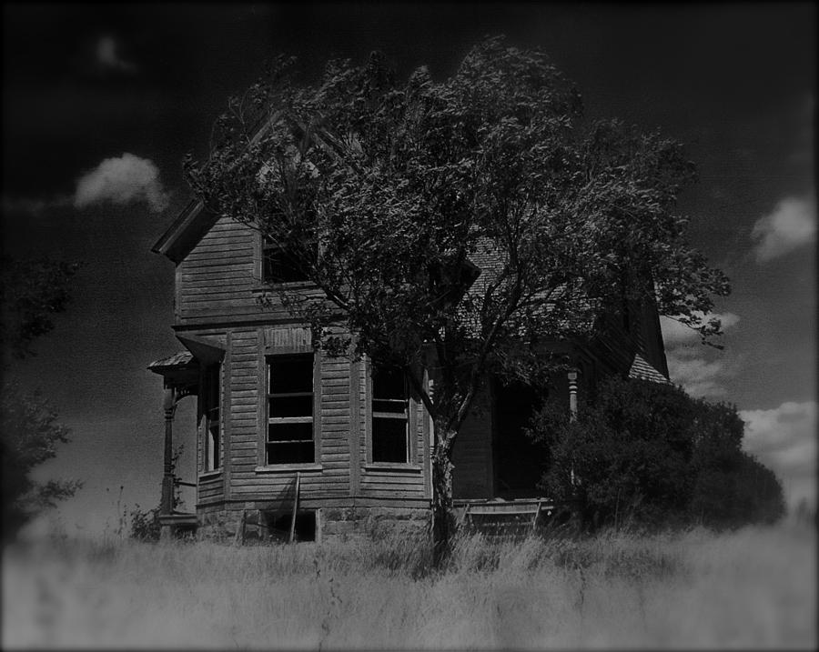 Psycho house number 1 Black Hills South Dakota 1965-2010 black and white Photograph by David Lee Guss