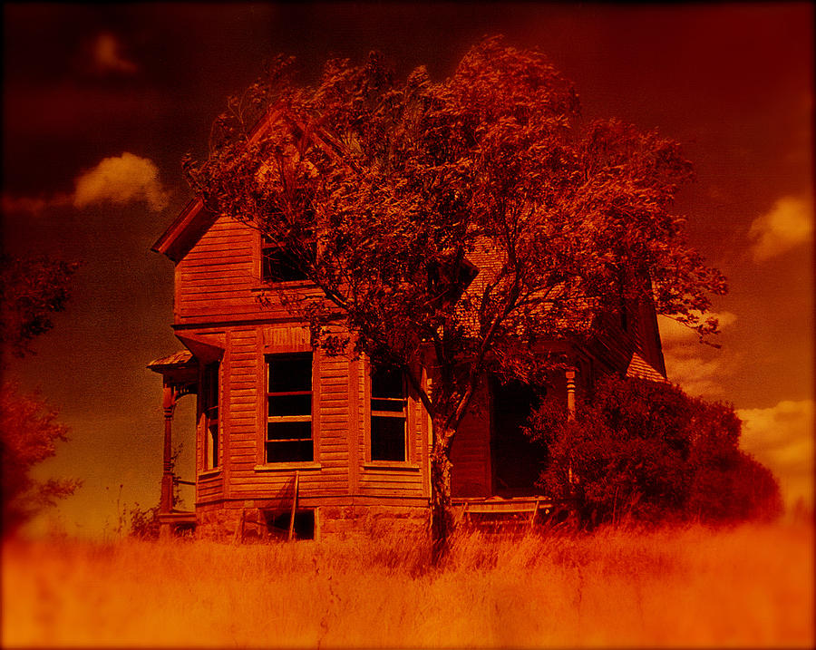 Psycho house number 2 Black Hills South Dakota 1965-2010 color added Photograph by David Lee Guss