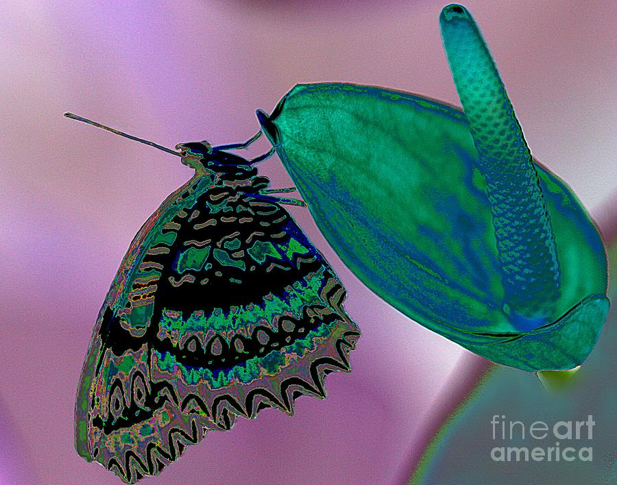 Psychodelic Butterfly Photograph by Elizabeth Winter