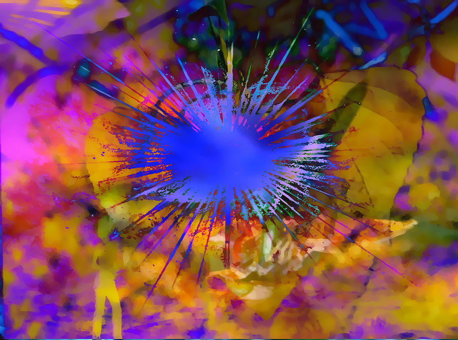 Psychodelicate Abstract Digital Art by Cathy Anderson