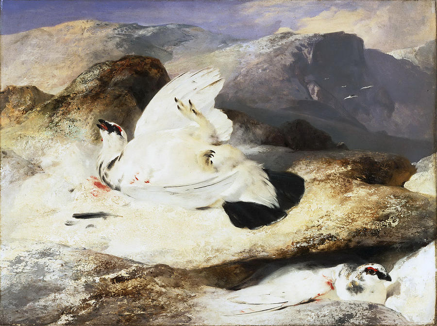Ptarmigan in a Landscape Painting by Edwin Landseer