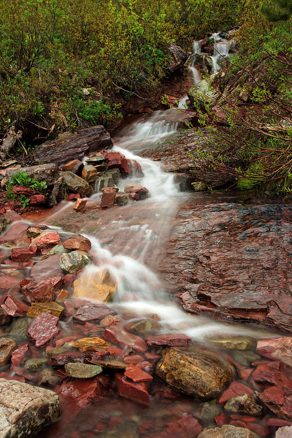 Ptarmigan Trail Waterfall No.3 Photograph by Daniel Woodrum