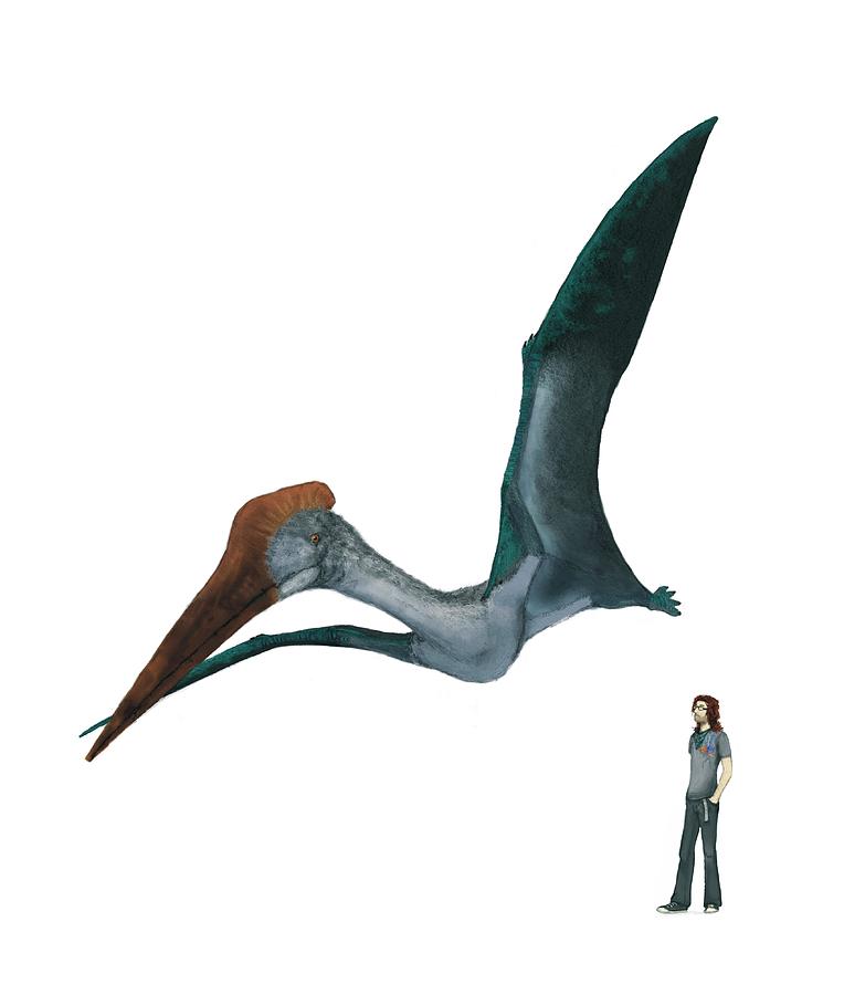 Pterosaur Photograph by Mark P. Witton/science Photo Library