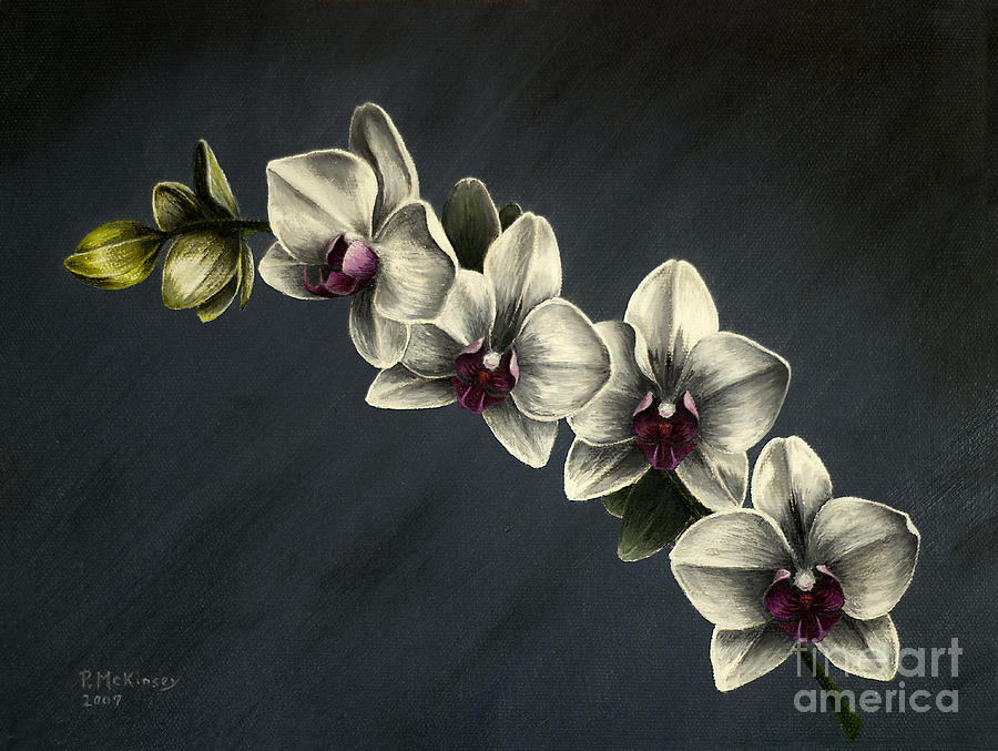 Orchid Painting - Puakea by Peggy McKinsey