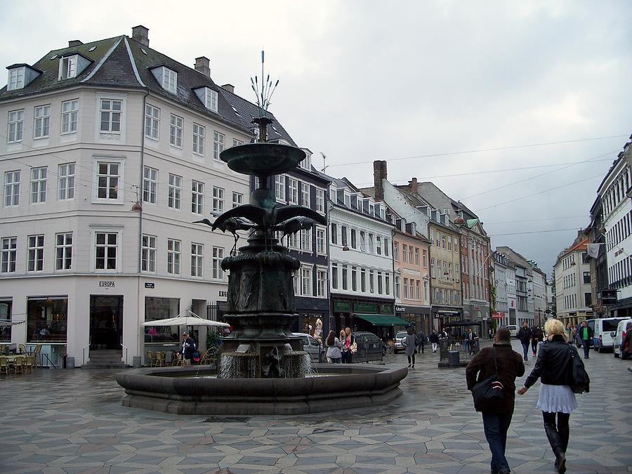Public Fountain In Copenhagen Denmark Photograph