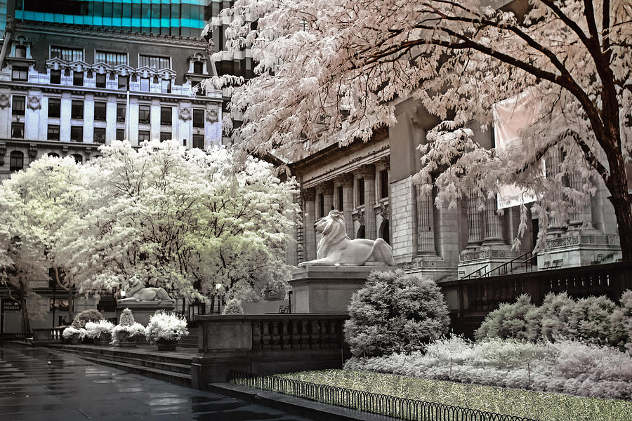 Color Photograph - Public Library Main Branch NYC by Dave Beckerman Color Photograph - Public Library Main Branch NYC by Dave Beckerman