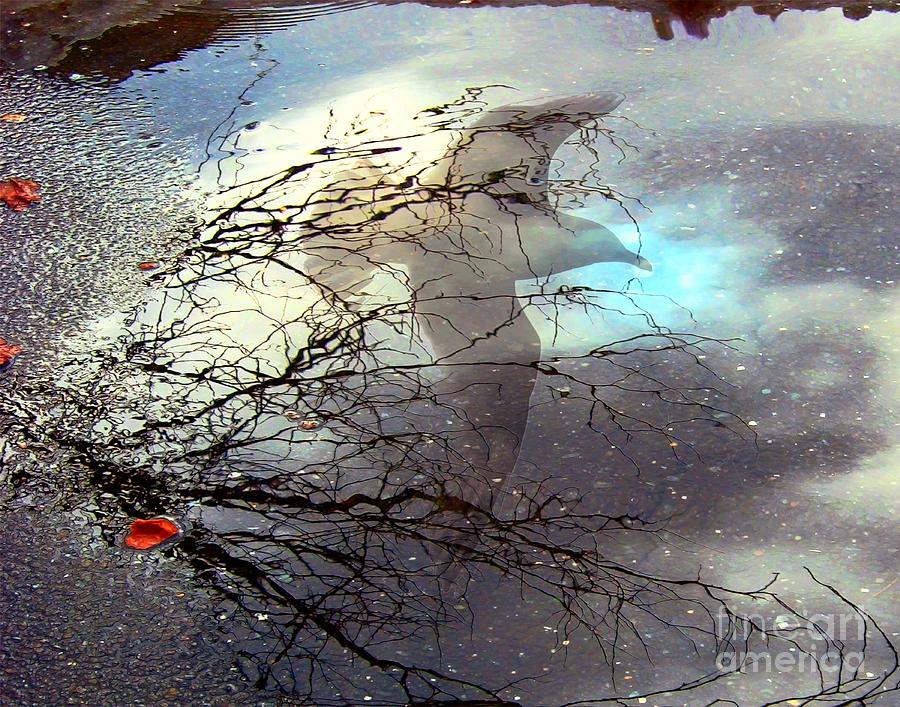 Puddle Art Digital Art by Dale   Ford