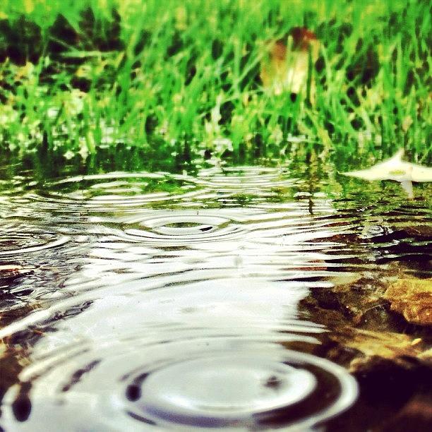 Puddle Photograph - #puddle #puddlegram #raindrops by A Loving