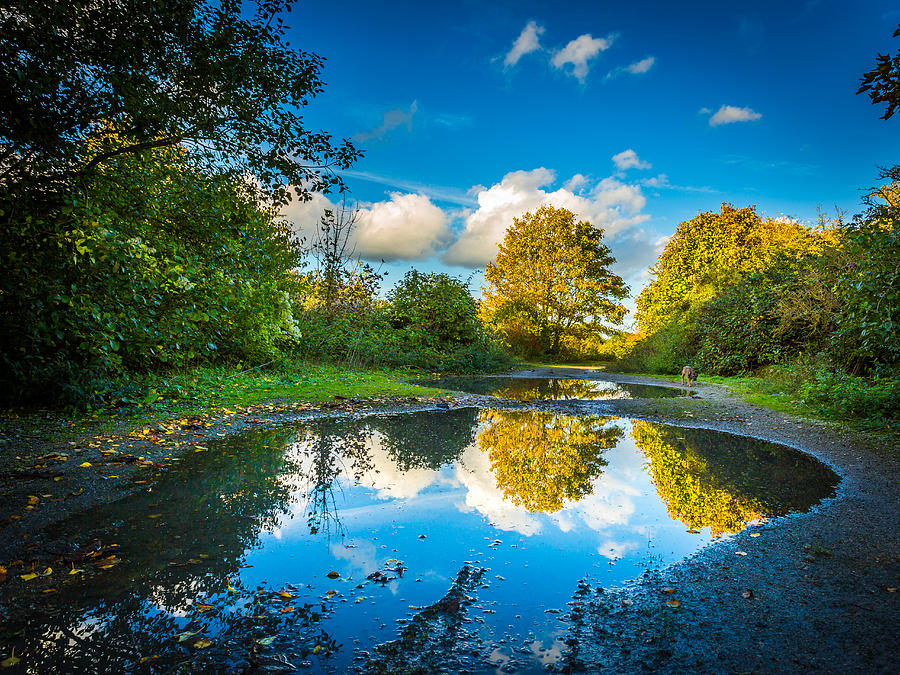 Puddle Photograph - Puddles. by Gary Gillette