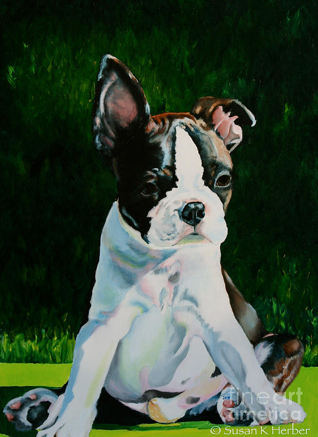 Pudge Painting by Susan Herber