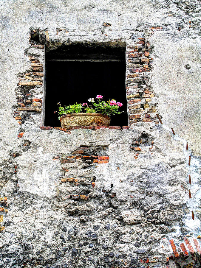 Puebla Window Flowers Photograph by Craig Burgwardt