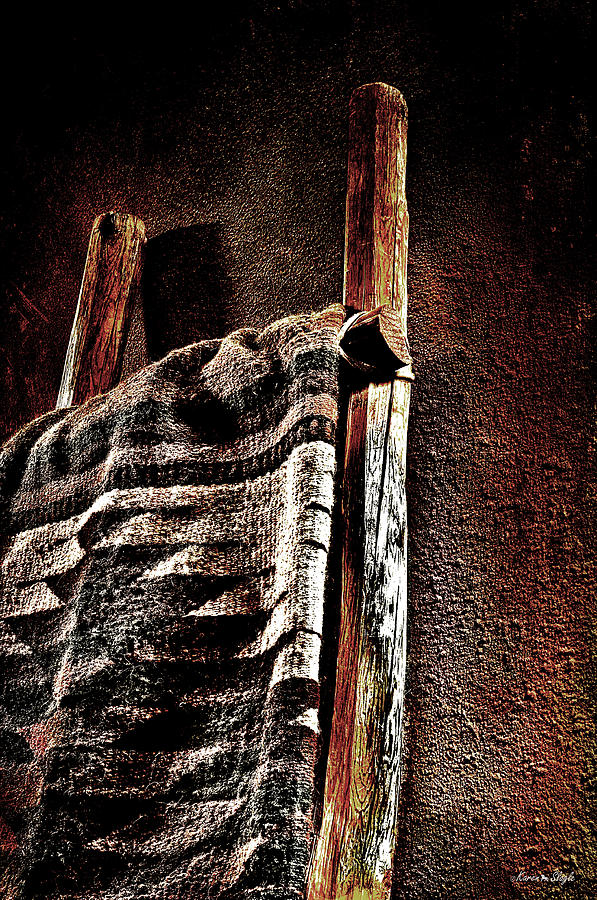 Pueblo Ladder and Rug Photograph by Karen Slagle